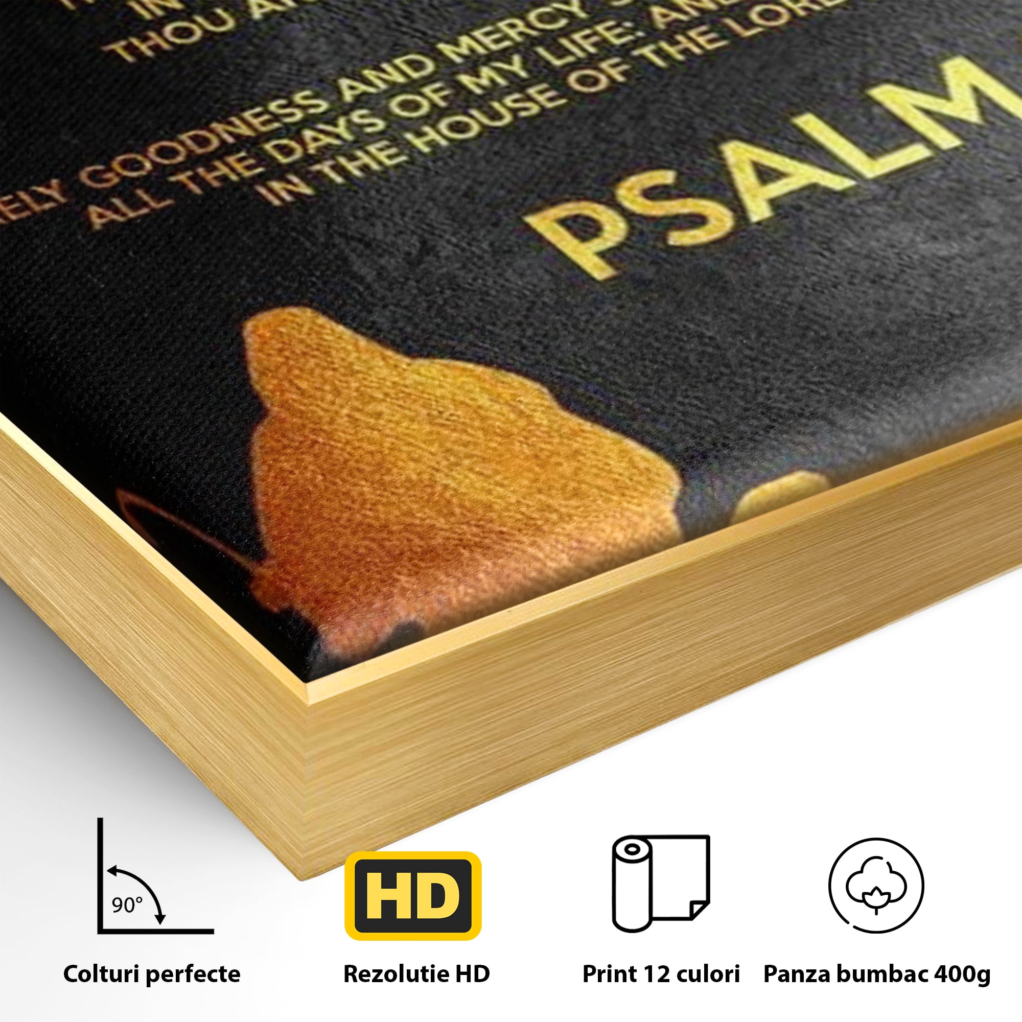 Detaliu al suprafetei: tablou canvas cu psalm si silueta aurie, in rama de aluminiu auriu